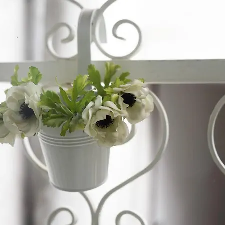 A Due Passi Da Toledo