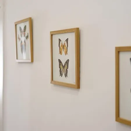 A Due Passi Da Toledo *